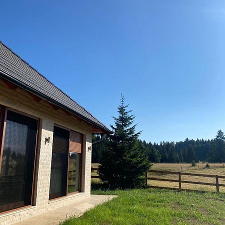 Villa Vikendica Krlic Mitrovac Exterior foto