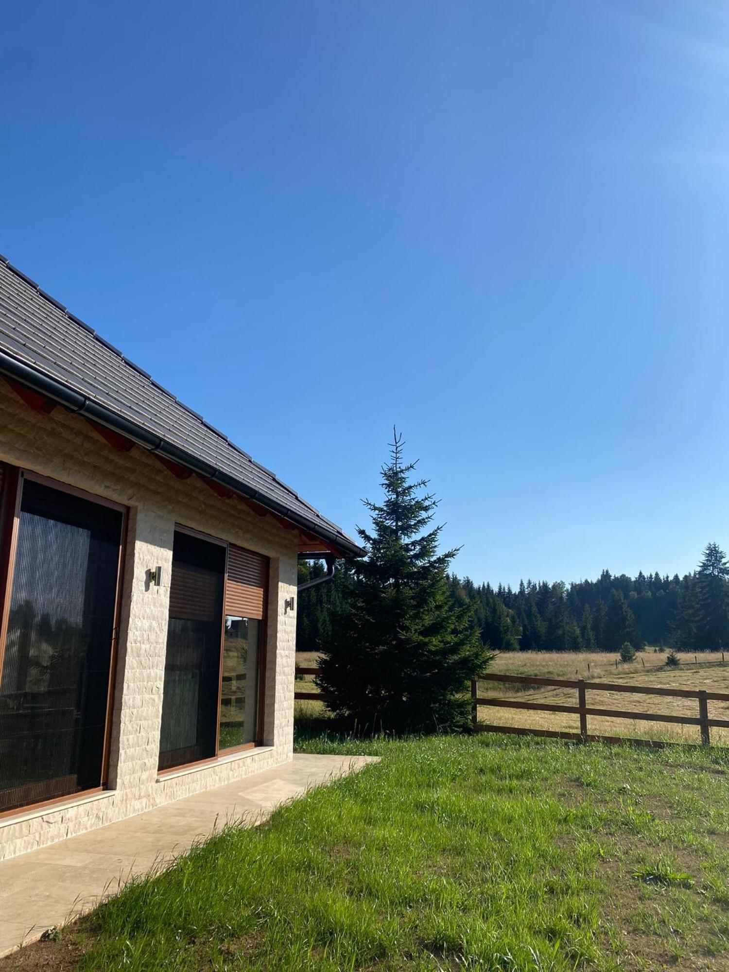 Villa Vikendica Krlic Mitrovac Exterior foto